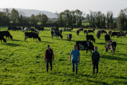 QMA23_MacNamara_Co Limerick_168